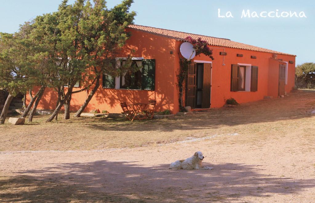 La Macciona Daire Aglientu Dış mekan fotoğraf